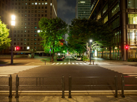 Tokyo station Night Viewのeditorial素材