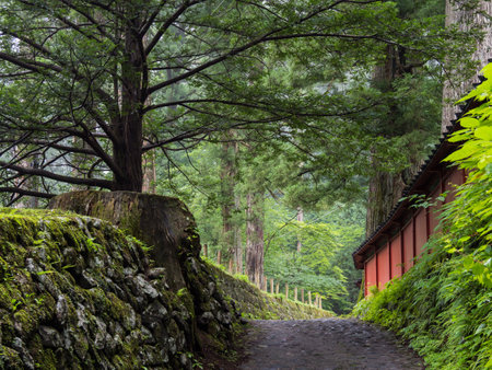 At the Nikko Futarasan Shrine, Japanのeditorial素材