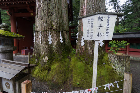 At the Nikko Futarasan Shrine, Japanのeditorial素材