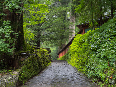 At the Nikko Futarasan Shrine, Japanのeditorial素材