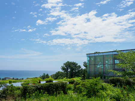 Hitachi Seaside Park, Japanのeditorial素材