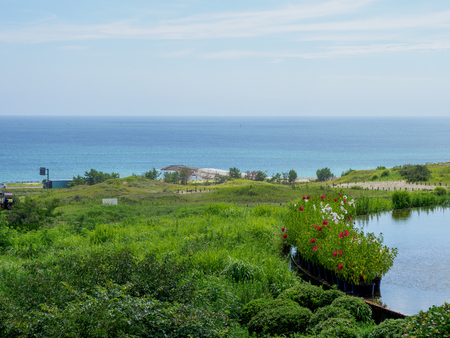 Hitachi Seaside Park, Japanの写真素材