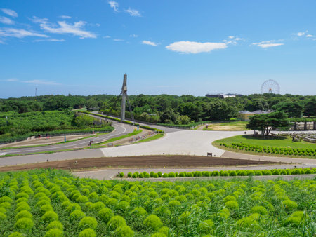 Hitachi Seaside Park and Kohia, Japanのeditorial素材