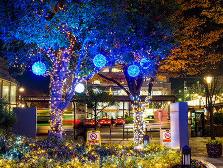 Japan Night view illuminationのeditorial素材