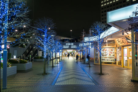 Japan Night view illuminationのeditorial素材