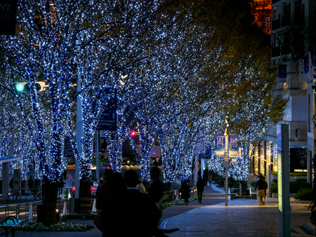 Japan Night view illuminationの写真素材