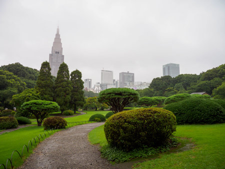 Park in Japanの写真素材
