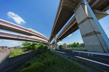 Junction in Japan