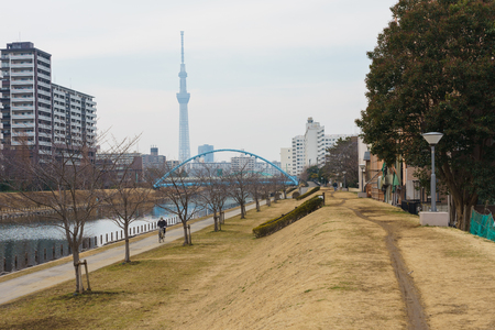 Arakawa riverbed, Tokyo Japanの写真素材