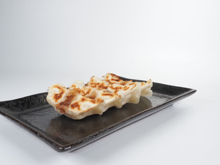 Gyoza Japanese Pan Fried Dumplingsの写真素材