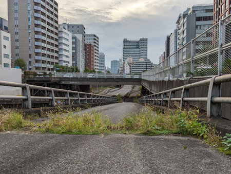 Tokyo Shintomicho early morning November 2021の写真素材