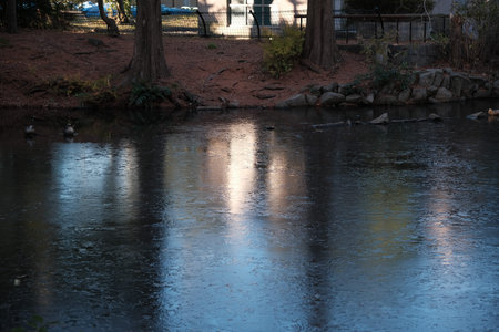 Tokyo Frozen pondの写真素材