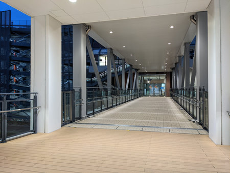Toyosu early morning, Japan Tokyo