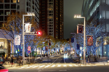 Japan Night view illumination
