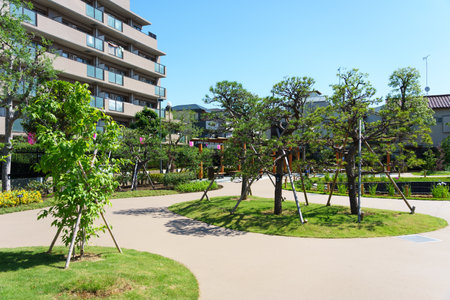 Tokyo Horikiri Iris gardenの写真素材