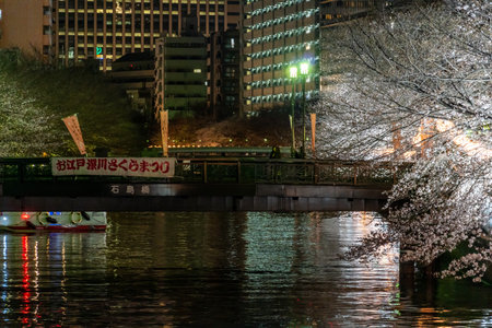 Tokyo Cherry blossom Night viewの写真素材