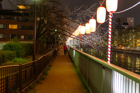 Tokyo Cherry blossom Night viewの写真素材