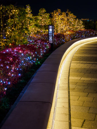 Tokyo Sky Tree Night Viewの写真素材