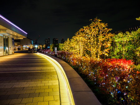 Tokyo Sky Tree Night Viewの写真素材