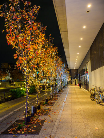 Tokyo Sky Tree Night Viewの写真素材