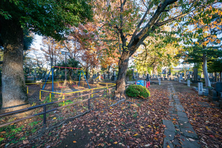 Yanaka Cemetery Autumn, Japan Tokyoの写真素材