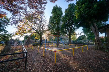 Yanaka Cemetery Autumn, Japan Tokyoの写真素材