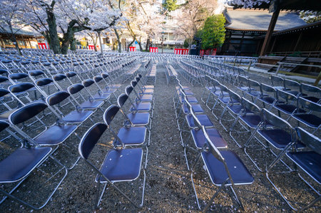 Cherry blossoms in Japan, Tokyoの写真素材