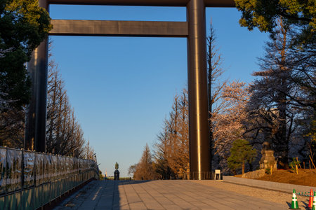 Cherry blossoms in Japan, Tokyoの写真素材