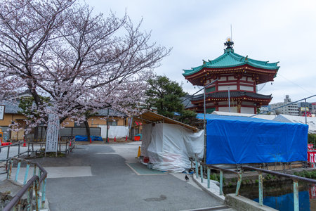 Cherry blossoms in Japan, Tokyoの写真素材