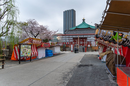 Cherry blossoms in Japan, Tokyoの写真素材
