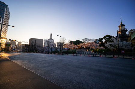 Cherry blossoms in Japan, Tokyoの写真素材
