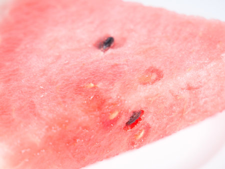 Watermelonの写真素材
