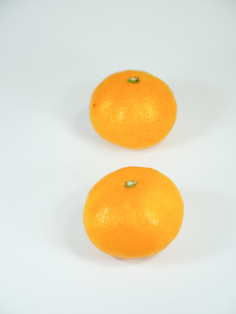 Mandarin orangeの写真素材