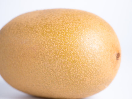 Kiwi fruitの写真素材