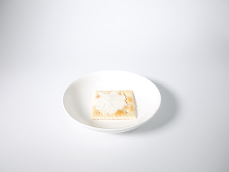 Square cracker with cream cheeseの写真素材