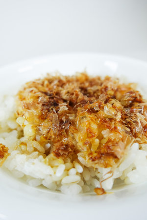 Rice with bonito flakesの写真素材