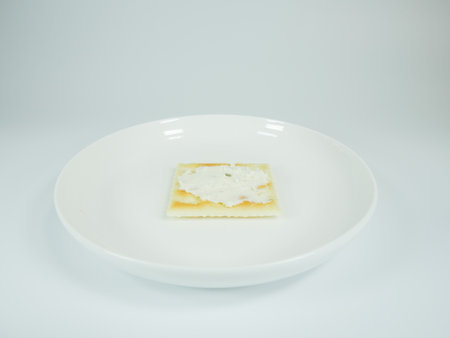 Square cracker with herb cheeseの写真素材