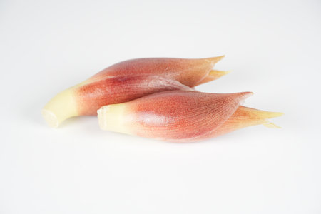 Japanese ginger, close up foodの写真素材