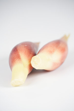 Japanese ginger, close up foodの写真素材