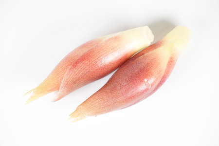 Japanese ginger, close up foodの写真素材