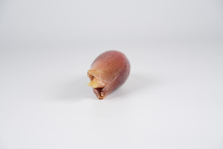 Japanese ginger, close up foodの写真素材