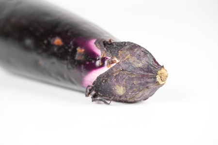 Eggplant, close up foodの写真素材