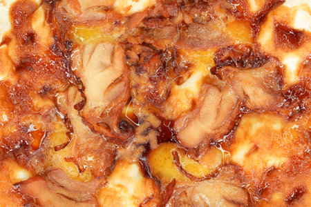 Teriyaki chicken pizzaの写真素材