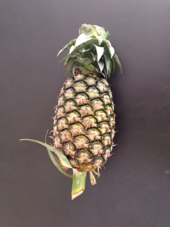 Pineapple fruitの素材