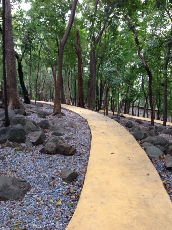 Pathwayの素材