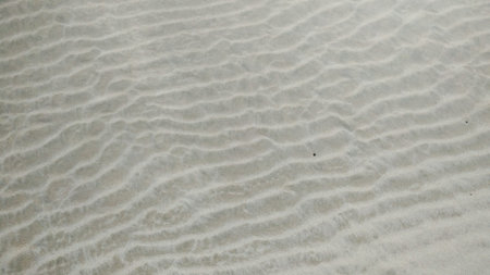 sand of the background