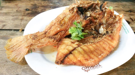 fish fry