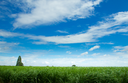 skyの写真素材