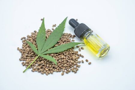 Hemp leaves are placed on seeds and CBD oil bottles. White background The concept of medical marijuana in the treatment of diseases has.The cycle of marijuana used is refined CBD hemp oil.の写真素材