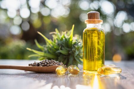 Researchers capture a bottle of hemp oil. CBD distilled into oil. Hemp tree background. Medical marijuana concepts in the treatment of diseases There is space for entering text.の写真素材